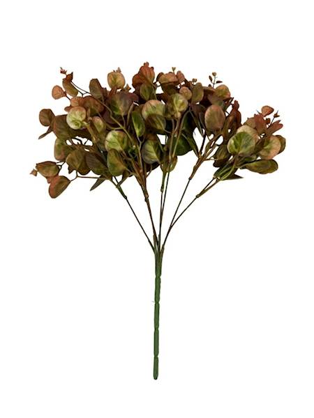 Bukiet eukaliptus 38 cm jasny brąz