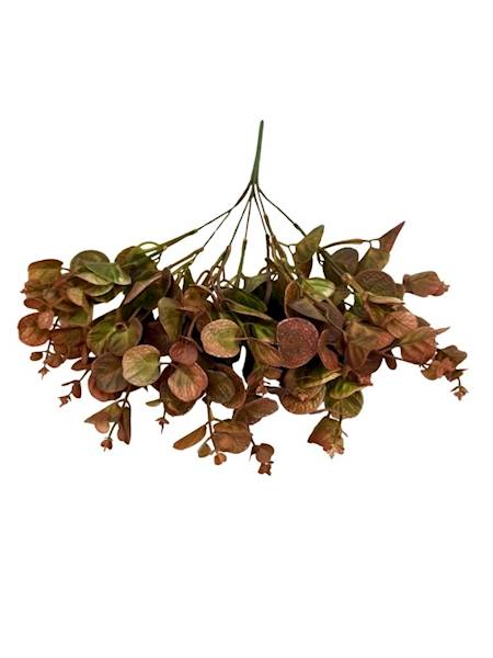 Bukiet eukaliptus 38 cm jasny brąz