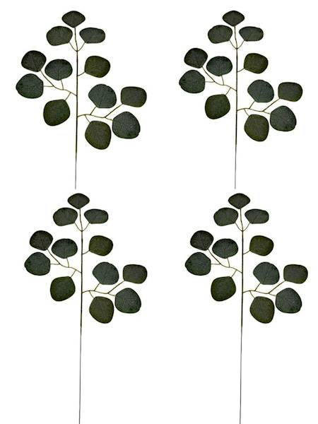Eukaliptus gałązka 48 cm zielony 4 SZTUKI