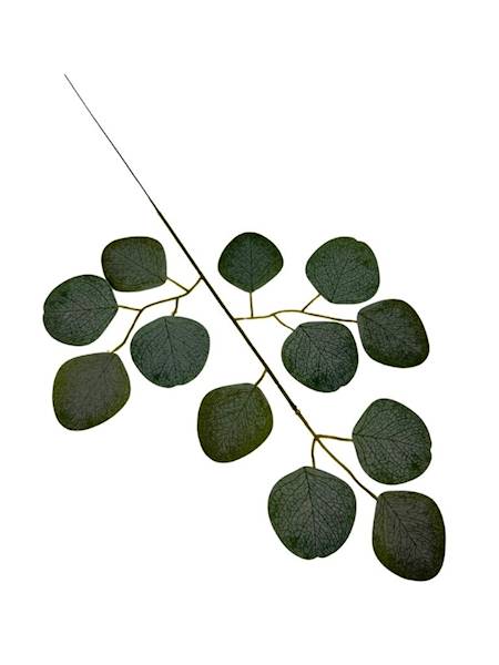 Eukaliptus gałązka 48 cm zielony 4 SZTUKI