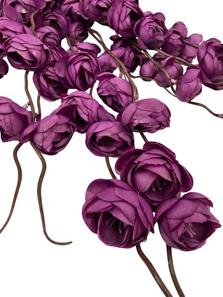 Bukiet kamelia pełnik purpurowy