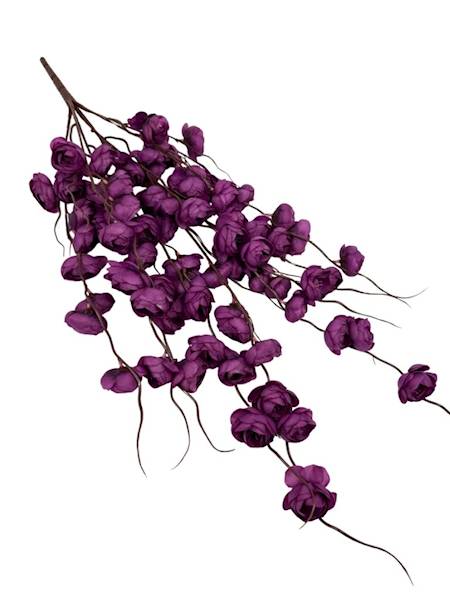 Bukiet kamelia pełnik purpurowy