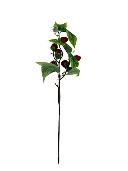 Maliny gałązka 39 cm