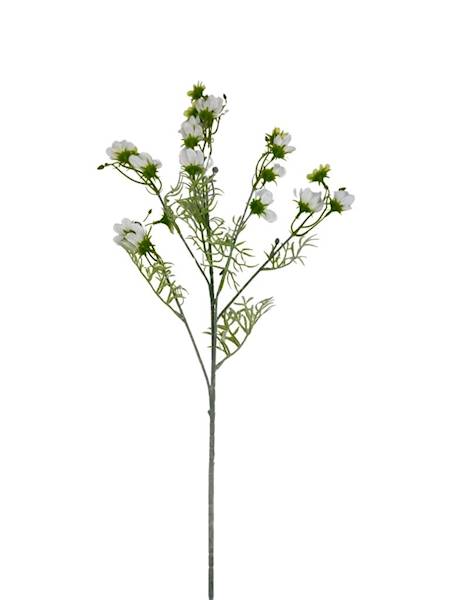 Warszawianka kosmos gałązka 86 cm biało zielona