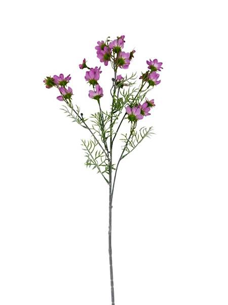 Warszawianka kosmos gałązka 86 cm róż
