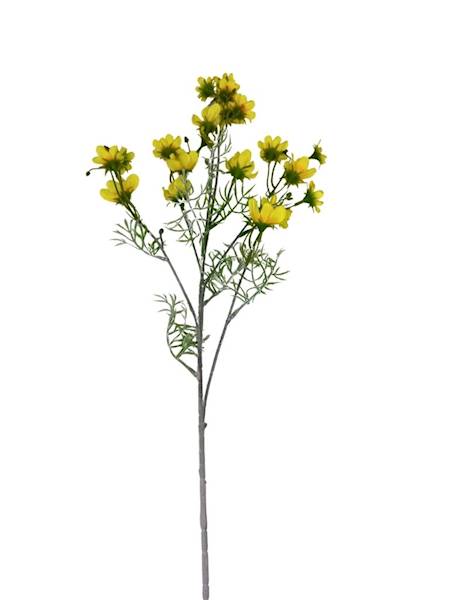 Warszawianka kosmos gałązka 86 cm żółta