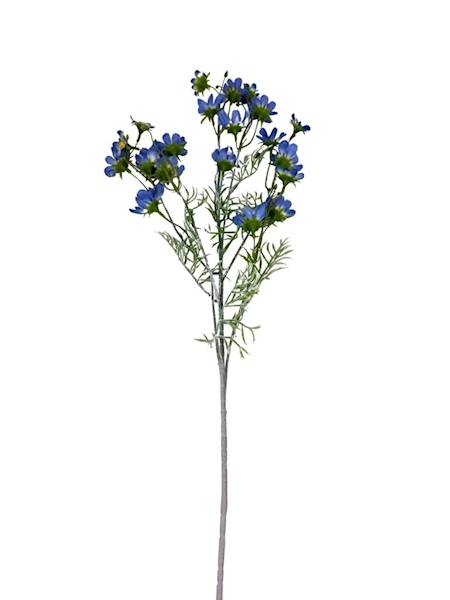 Warszawianka kosmos gałązka 86 cm niebieska