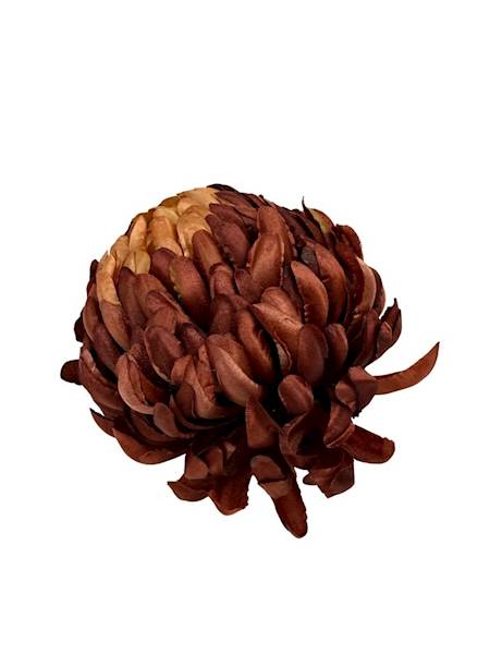 Chryzantema główka 11 cm brązowa