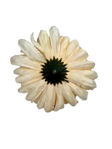 Chryzantema główka 11 cm waniliowa
