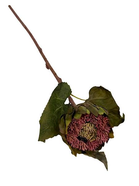 Słonecznik gałązka 45 cm brudny róż