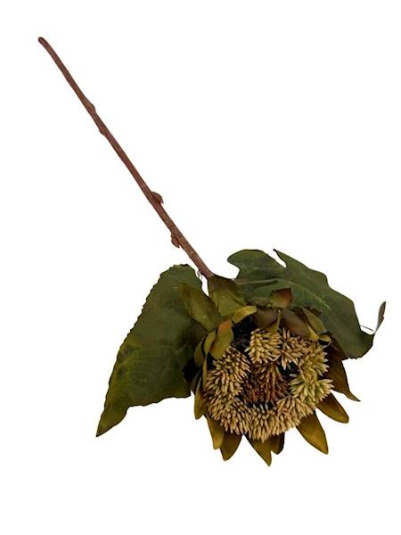 Słonecznik gałązka 45 cm beż