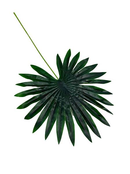 Liść palmy palma gałązka 45 cm zielony