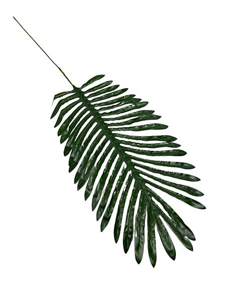 Liść palmy palma gałązka 78 cm zielony