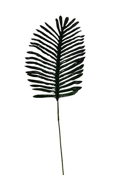 Liść palmy palma gałązka 78 cm zielony
