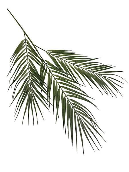 Palma potrójna gałązka 77 cm zielona