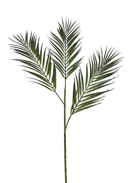Palma potrójna gałązka 77 cm zielona