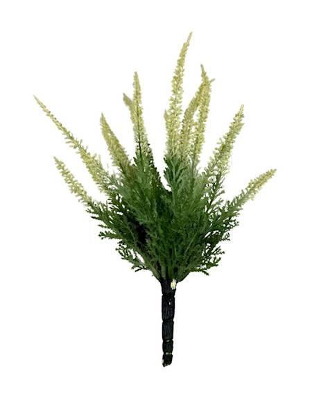 Wrzos bukiet 30 cm kremowy
