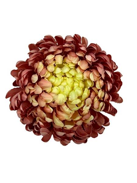 Chryzantema główka XL 16 cm brudny róż i żółty
