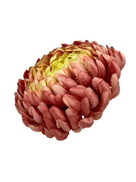 Chryzantema główka XL 16 cm brudny róż i żółty