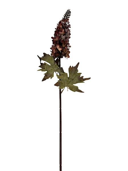 Ostróżka jesienna gałązka 87 cm brąz