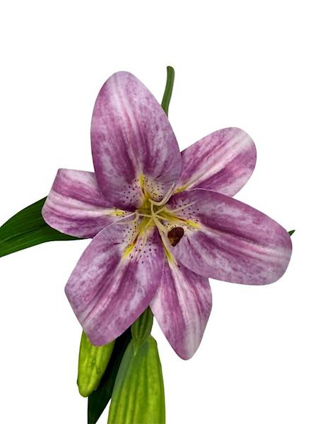 Lilia silikonowa gałązka 36 cm fioletowa