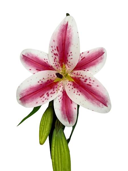 Lilia silikonowa gałązka 36 cm biało różowa