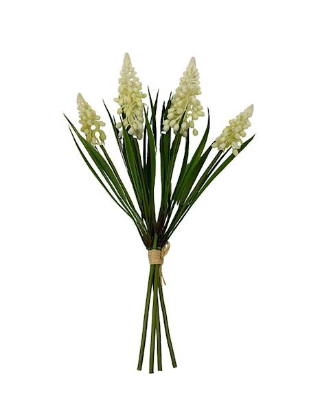 Szafirki wiązka 28 cm kremowe