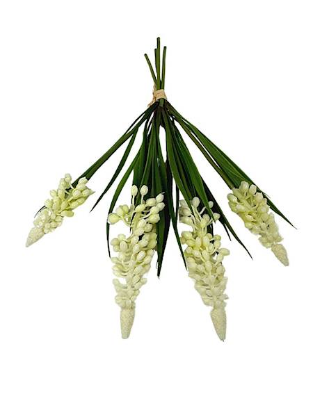 Szafirki wiązka 28 cm kremowe