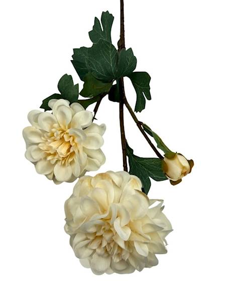 Cynia gałązka 60 cm kremowa