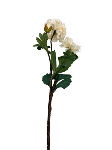 Cynia gałązka 60 cm kremowa