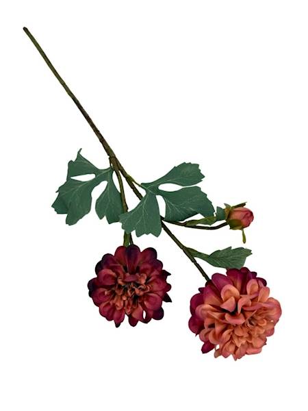 Cynia gałązka 60 cm brudny róż bordo