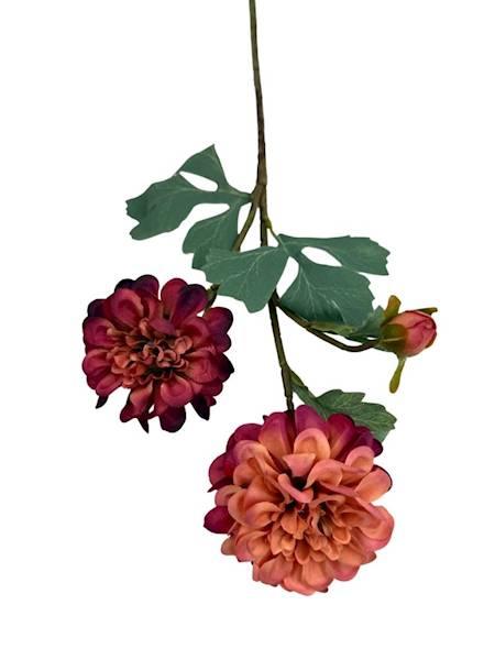 Cynia gałązka 60 cm brudny róż bordo