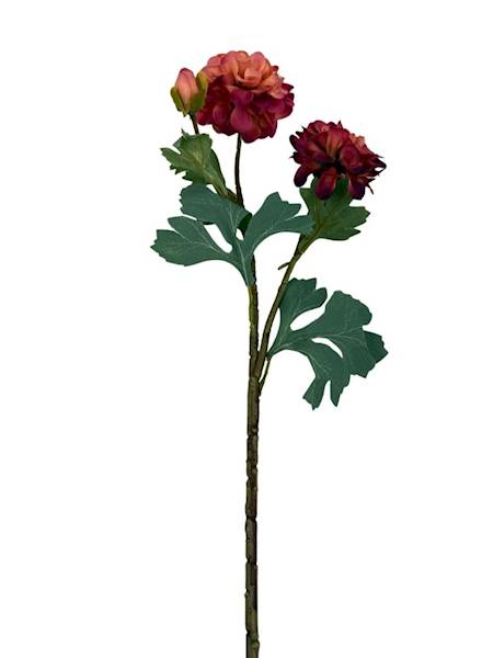 Cynia gałązka 60 cm brudny róż bordo