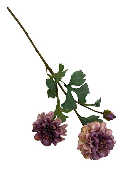 Cynia gałązka 60 cm brudny fiolet