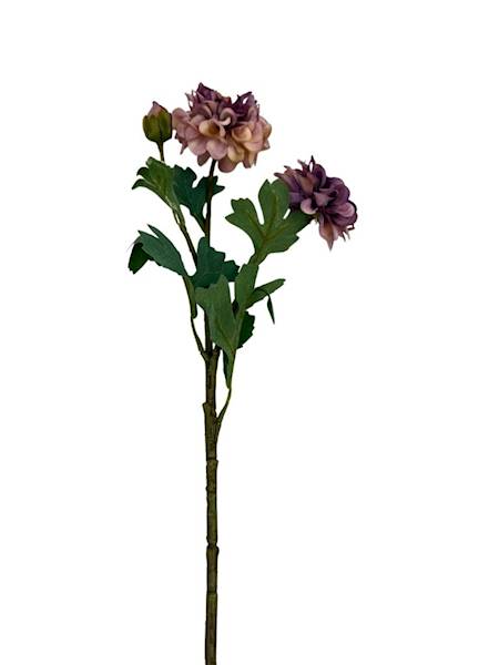 Cynia gałązka 60 cm brudny fiolet
