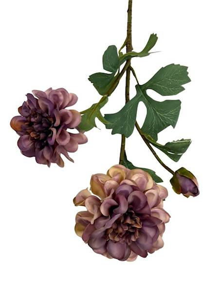 Cynia gałązka 60 cm brudny fiolet