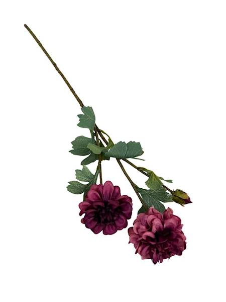 Cynia gałązka 60 cm purpurowa