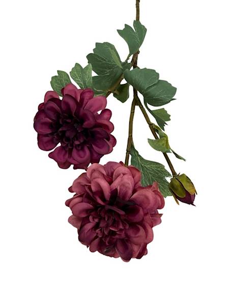 Cynia gałązka 60 cm purpurowa