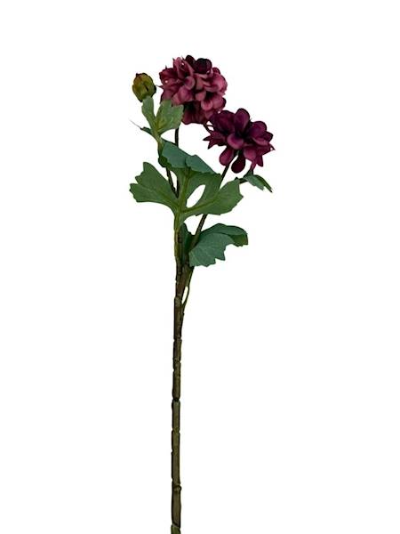 Cynia gałązka 60 cm purpurowa