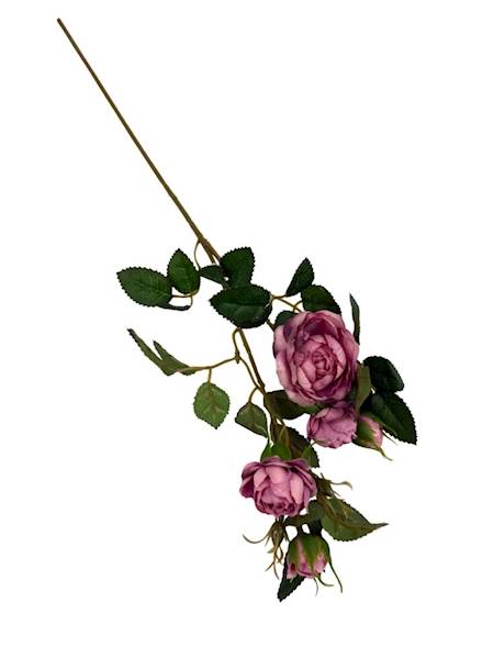 Róża gałązka 50 cm brudny fiolet