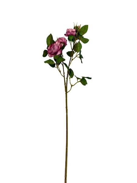 Róża gałązka 50 cm brudny fiolet