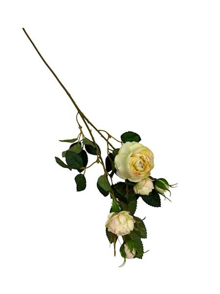 Róża gałązka 50 cm wanilia