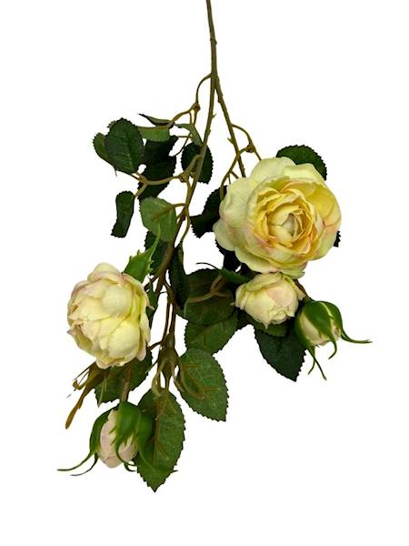 Róża gałązka 50 cm wanilia