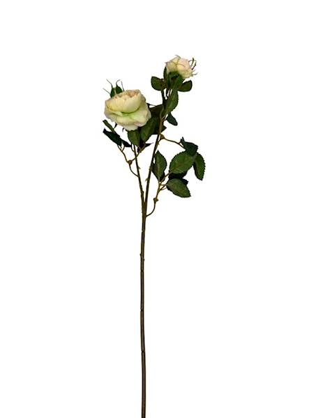 Róża gałązka 50 cm wanilia