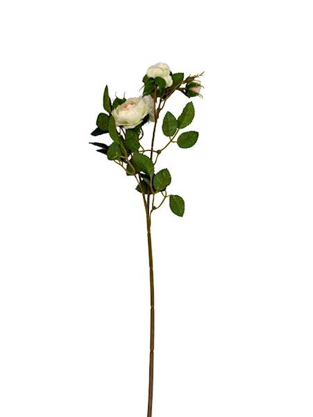 Róża gałązka 50 cm kremowa z brzoskwiniowym
