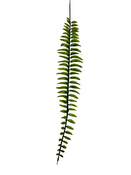Paproć liść 48 cm zielony 4 SZTUKI