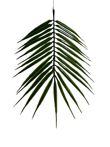 Liść palmy gałązka 38 cm 4 SZTUKI