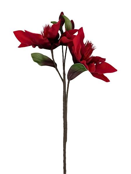 Magnolia piankowa duża gałązka 107 cm czerwona
