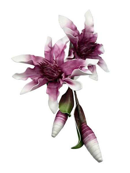 Magnolia piankowa duża gałązka 107 cm różowa