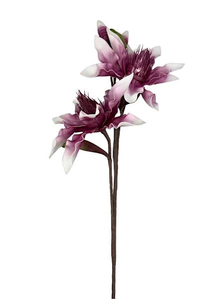 Magnolia piankowa duża gałązka 107 cm różowa